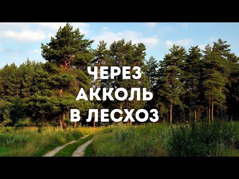 Видео: The road through Akkol to the Forestry - Дорога через Акколь в Лесхоз