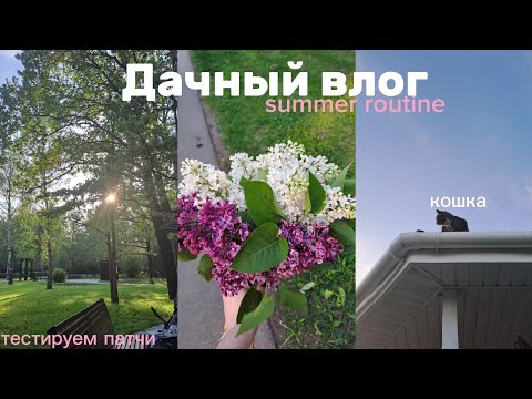 Видео: VLOG//дачный влог, уехали на дачу, летняя рутина, отдых после экзаменов