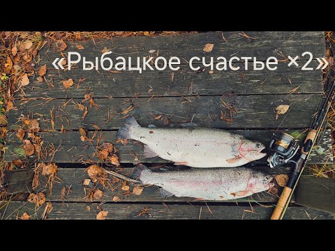 Видео: Форель в шведских озёрах — день, когда всё клевало!