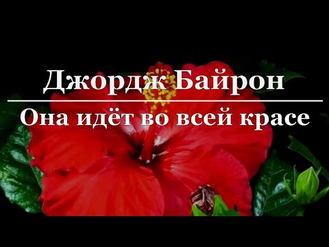 Видео: Джордж Байрон - Она идёт во всей красе