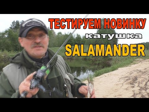 Видео: Тестируем новинку- катушку Salamander