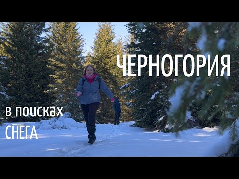 Видео: в ЧЕРНОГОРИЮ в поисках снега. зимний хайк в парке Дурмитор. Чёрное озеро.