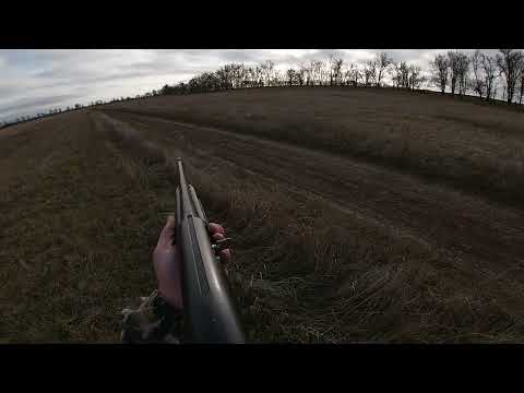 Видео: #Охота на зайца. Открытие 2021.