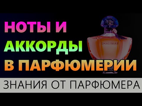 Видео: 💧Ноты в Парфюмерии💧 Аккорды в Аромате 💧 Парфюмерия💧