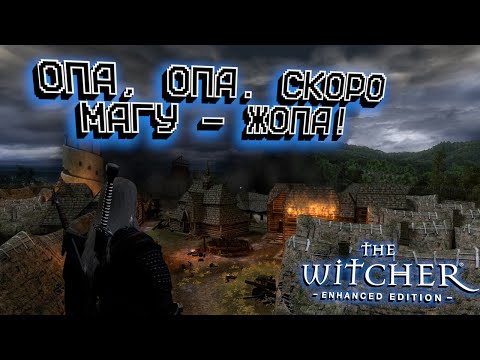 Видео: Этого не может быть! Саламандры будут жить. Прохождение The Witcher.