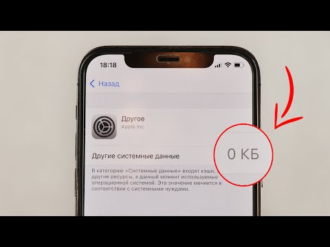 Видео: Как удалить "ДРУГОЕ" с памяти iPhone? (2022)