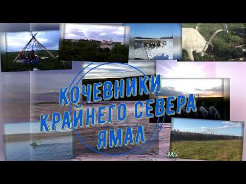 Видео: Изготовление заготовок для будущей нарты / ЯНАО / Ямал