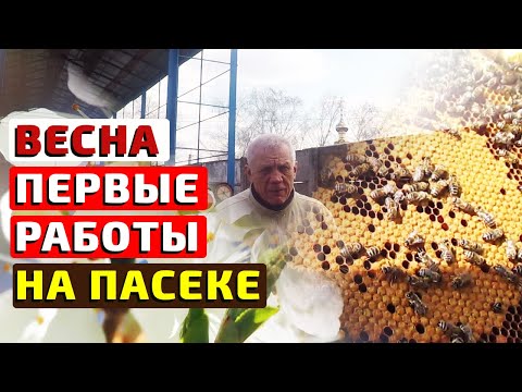 Видео: Первые весенние работы пчеловода на пасеке. Слабые семьи весной.