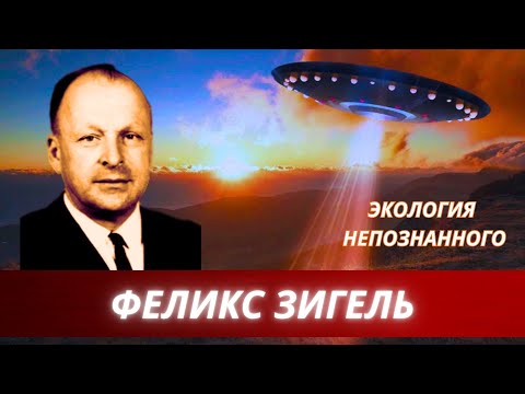 Видео: Экология непознанного. Александр Евгеньевич Семенов . Зигелевские чтения.