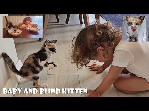 Видео: Мой малыш и слепой котёнок, которого я спасла и усыновила, стали лучшими друзьями.
