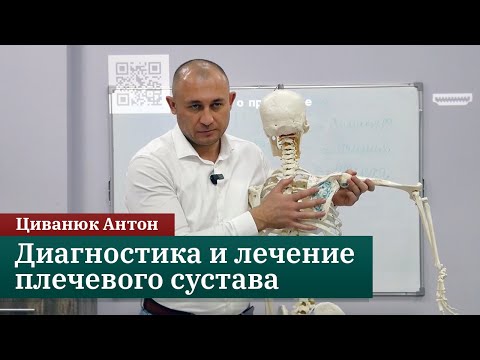 Видео: Диагностика и лечение плечевого сустава. Циванюк А.В.