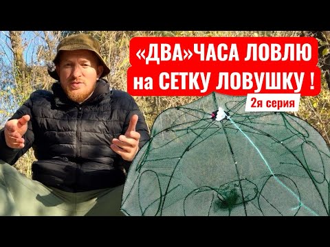 Видео: РЫБАЛКА ДВА ЧАСА НА СЕТКУ ЛОВУШКУ 