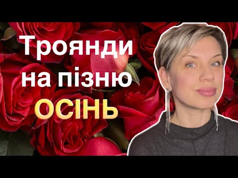 Видео: Улюблені Трояндові Парфуми на пізню осінь