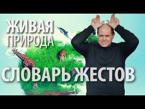 Видео: Словарь РЖЯ:: Растительный и животный мир