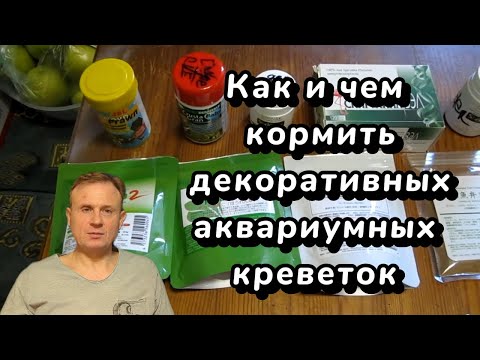 Видео: Как и чем кормить декоративных аквариумных креветок