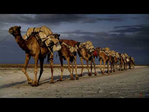 Видео: Караван - Геннадий Бейгин