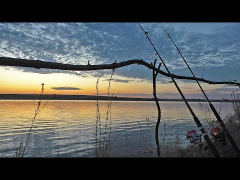 Видео: Рыбалка на сома без сома. Река Днепр. Июнь 2023 (архив)