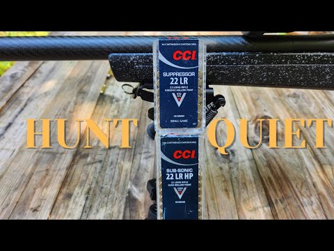 Видео: Бесшумные охотничьи патроны — CCI Suppressor против CCI Subsonic HP