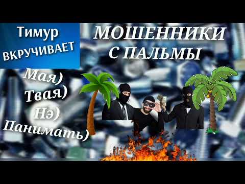 Видео: Мошенники с пальмы #Тимурвкручивает