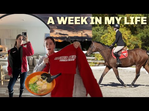Видео: Неделя из моей жизни в конной команде DI!!