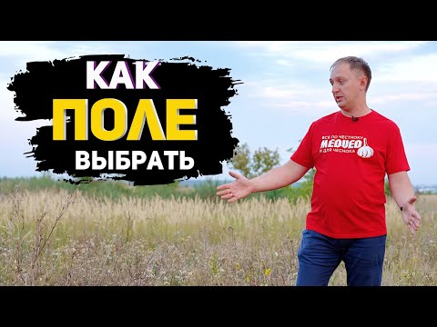 Видео: Как выбрать поле для выращивания чеснока и других посевных культур