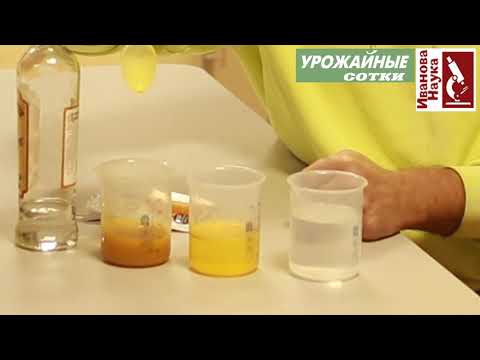 Видео: ТОЛЬКО ТАК можно определить подлинность куркумы. Простые домашние тесты на подделку.