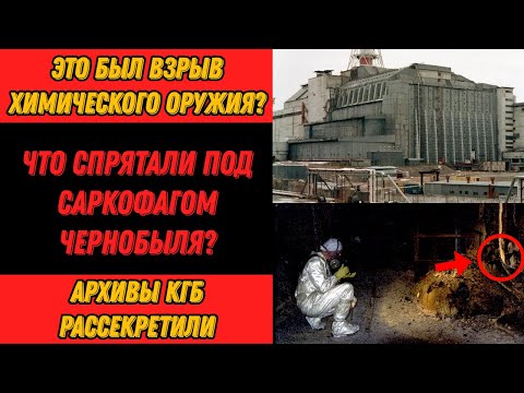 Видео: Чернобыль: что живет под саркофагом уже 40 лет. .