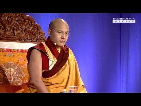 Видео: Кармапа. Наставление по махамудре (2014)
