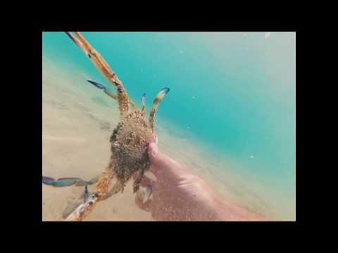 Видео: ЗОЛОТОЙ ЗАПАС УВЕЛИЧИЛСЯ. Пляжный коп в Турции, лето 2017. Как поймать краба 12 мин. Underwater gold