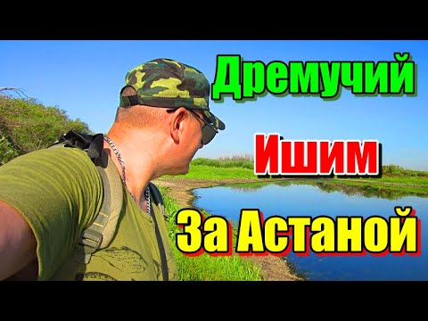 Видео: ДРЕМУЧИЙ ИШИМ, ЗА АСТАНОЙ!!! РЕКА ИШИМ 2023. #рыбалка #казахстан #астана #река #спиннинг