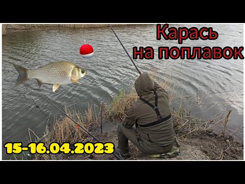 Видео: Рыбалка на Днестре.Отрыв по карасю на поплавок в канале на червя. #рыбалка #днестр #карась #поплавок