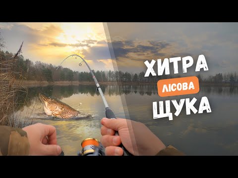Видео: ТРОФЕЙНА ЩУКА ЧИ ПРОКЛЯТТЯ? Рибалка на щуку: силікон, воблери, блешні, ЗРІЗИ, СХОДИ, ПАНІКА