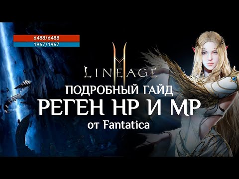 Видео: Восстановление HP и MP в Lineage2M