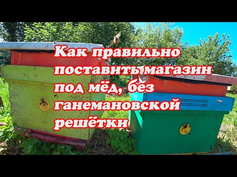 Видео: КАК ПРАВИЛЬНО ПОСТАВИТЬ МАГАЗИННУЮ НАДСТАВКУ ПОД МЁД БЕЗ ГАНЕМАНОВСКОЙ РЕШЁТКИ