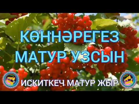 Видео: Яхшы кәеф телибез