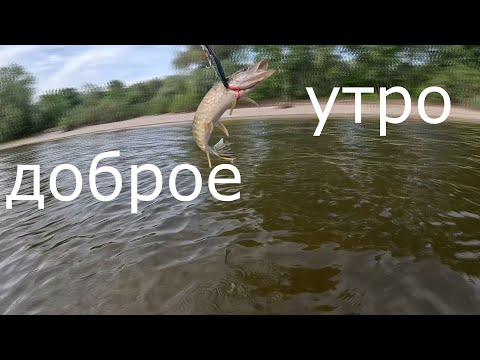Видео: ЩУКА НА ВОБЛЕР.  Доброе Утро. ( Воблер Jackall Rerange 110 SP ).
