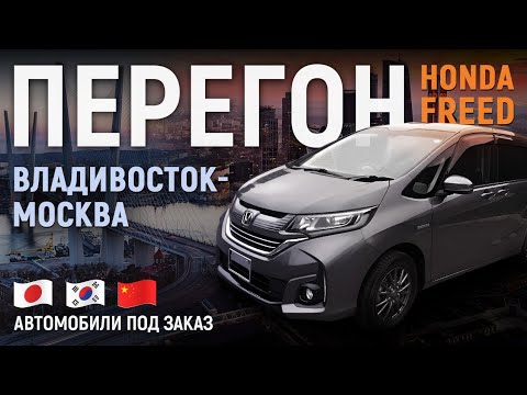 Видео: Зимний перегон Владивосток - Москва! HONDA FREED 2020. Скользкая дорога, снег, аварии и т.д.
