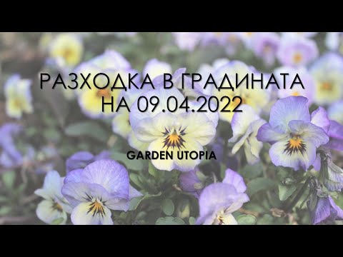 Видео: Обиколка на градината | 09.04.2022