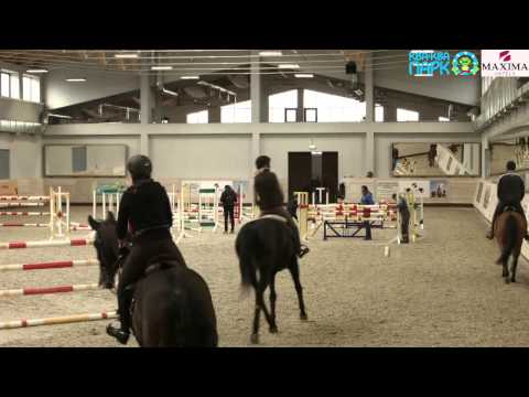 Видео: Мастер-класс для конкуристов с Куртом Гравемайером  в Maxima Stables 2- 6