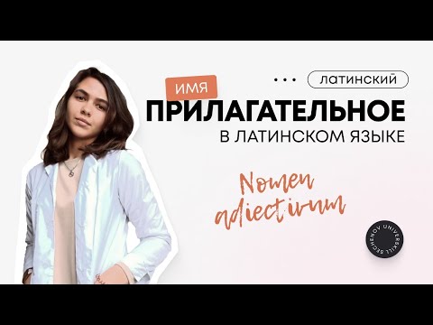 Видео: Имя прилагательное в латинском языке.