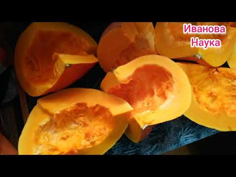 Видео: Как правильно готовить тыкву? Для вкуса, пользы и здоровья!