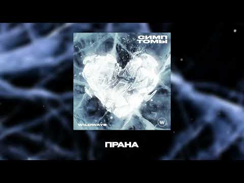 Видео: Wildways – Прана (Official Audio)