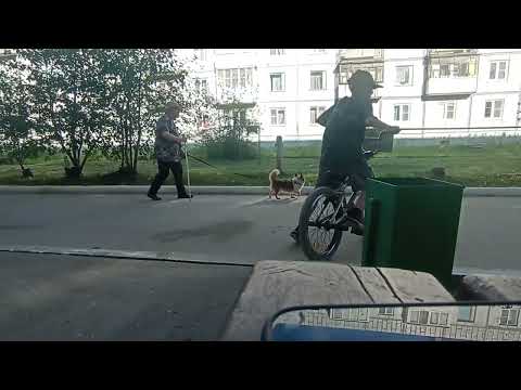 Видео: СТАНТИМ С ДРУГОМ!