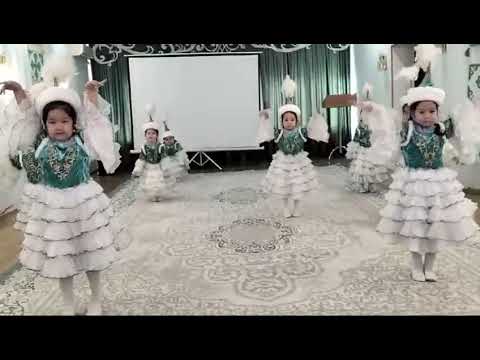 Видео: "Қазақ елі" биі