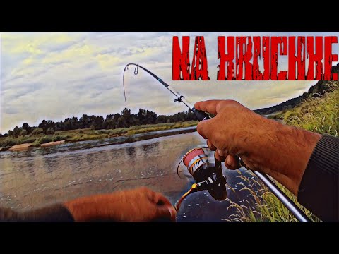 Видео: Зачетный окунь. Рыбалка на Волге в Тверской области. Окунь на перекате!