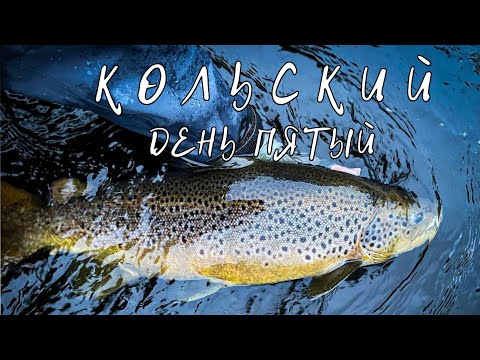 Видео: КОЛЬСКИЙ 2022, день 5, или как 20 МИНУТ может изменить ход РЫБАЛКИ.