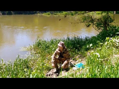 Видео: КРАСНОГЛАЗЫЕ ТРОФЕИ ПРИШЛИ НЕ СРАЗУ. Ловля рыбы на реке в проводку. РЫБАЛКА НА ПОПЛАВОК.