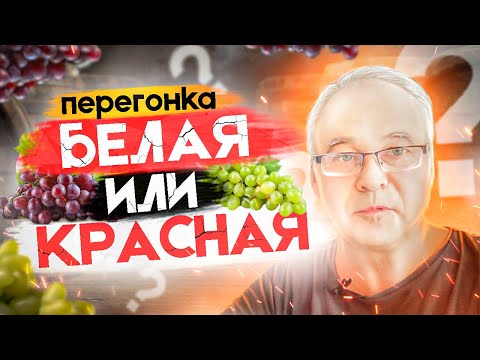 Видео: Самогоноварение. Что такое "красная" и "белая" схема перегонки самогона?