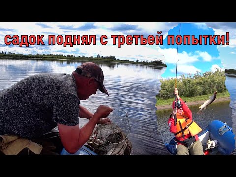Видео: НАДУБАСИЛИ щук и окуней - 2! Устали их вытаскивать!