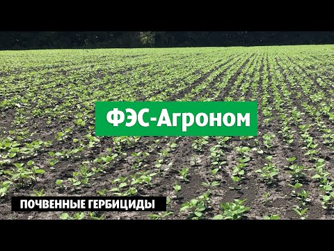 Видео: Почвенные гербициды